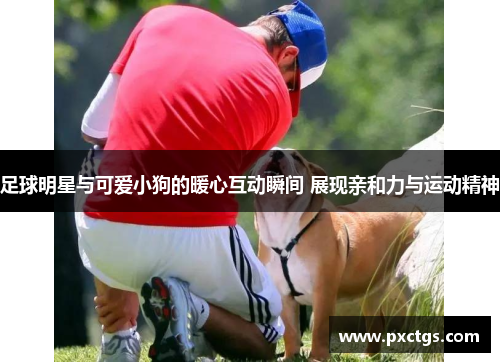 足球明星与可爱小狗的暖心互动瞬间 展现亲和力与运动精神