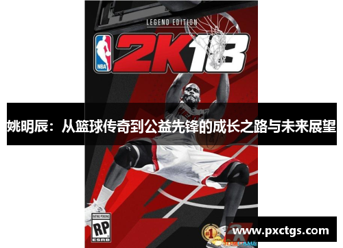 姚明辰：从篮球传奇到公益先锋的成长之路与未来展望