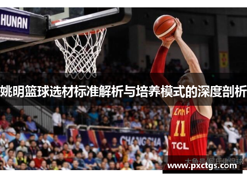 姚明篮球选材标准解析与培养模式的深度剖析