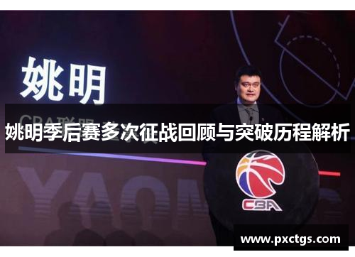 姚明季后赛多次征战回顾与突破历程解析