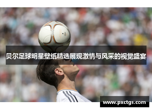 贝尔足球明星壁纸精选展现激情与风采的视觉盛宴
