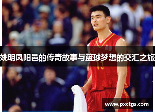 姚明凤阳邑的传奇故事与篮球梦想的交汇之旅