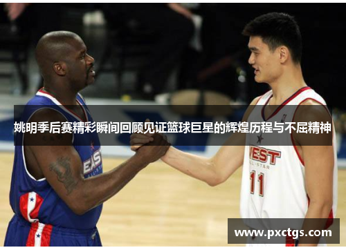姚明季后赛精彩瞬间回顾见证篮球巨星的辉煌历程与不屈精神