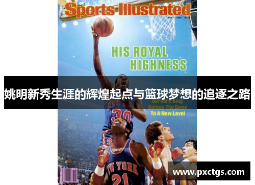 姚明新秀生涯的辉煌起点与篮球梦想的追逐之路